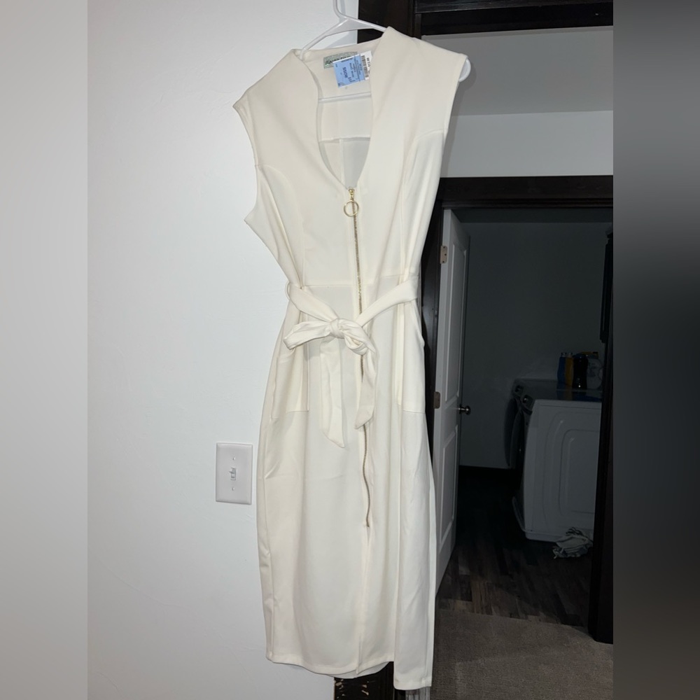 Work Dress (never worn)
